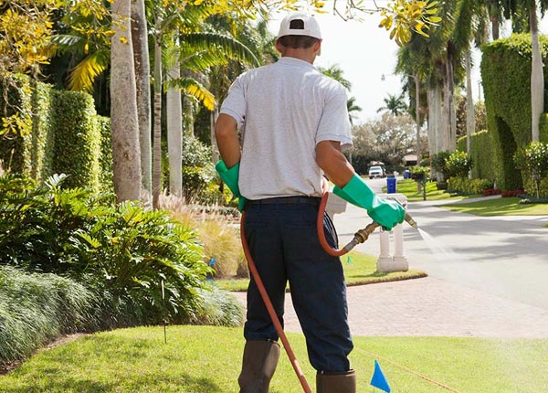 About Chester OH Pest Control